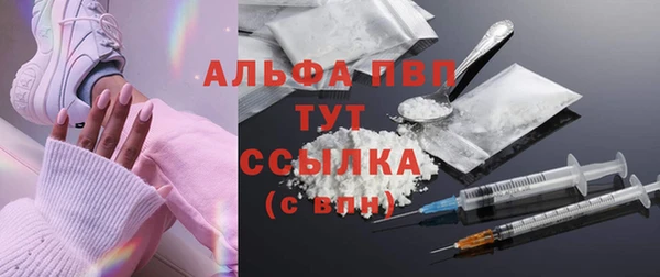 ПСИЛОЦИБИНОВЫЕ ГРИБЫ Арсеньев