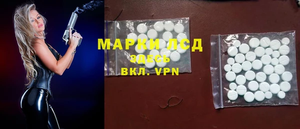 ПСИЛОЦИБИНОВЫЕ ГРИБЫ Арсеньев