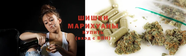 ПСИЛОЦИБИНОВЫЕ ГРИБЫ Арсеньев
