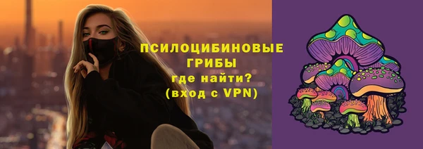 ПСИЛОЦИБИНОВЫЕ ГРИБЫ Арсеньев