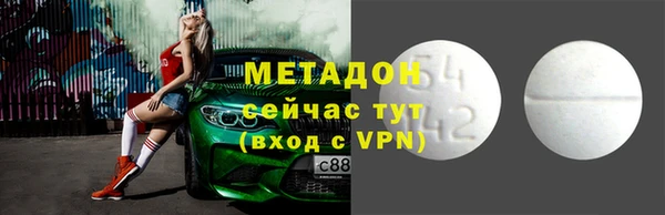 ПСИЛОЦИБИНОВЫЕ ГРИБЫ Арсеньев