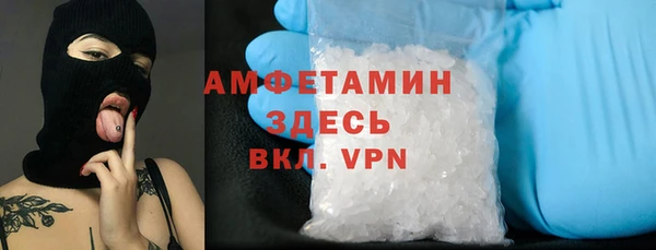 ПСИЛОЦИБИНОВЫЕ ГРИБЫ Арсеньев