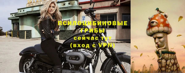 ПСИЛОЦИБИНОВЫЕ ГРИБЫ Арсеньев